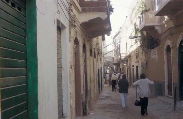 0559_05v.jpg