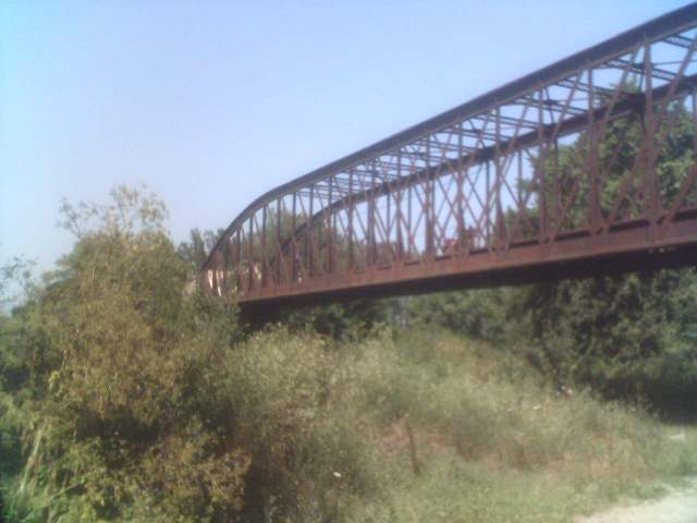 060626nv.jpg