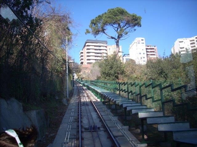 08d3341v.jpg