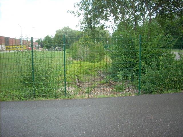13d8693v.jpg